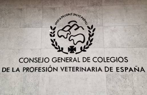 Nacen los “Premios Nacionales de Veterinaria: Salud y Bienestar” para reconocer iniciativas, entidades y personas que hayan contribuido al avance y prestigio de la profesión