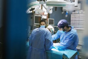 La OCV valora la aprobación del certificado profesional de asistencia clínica en centros veterinarios como un avance en la ordenación del sector