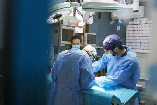 La OCV valora la aprobación del certificado profesional de asistencia clínica en centros veterinarios como un avance en la ordenación del sector