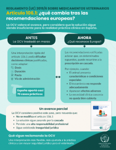 La OCV valora el avance logrado en Europa tras la ratificación de las recomendaciones en la interpretación del artículo 106.1, pero insiste en que la solución sigue estando alejada de la realidad española