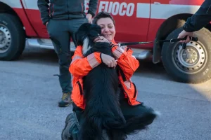 Los perros de rescate llegan al incendio de Los Gallardos: así actúa esta brigada en catástrofes naturales
