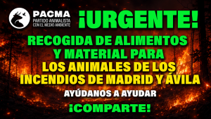 PACMA se suma a la recogida de alimentos y material para los animales afectados por los incendios de Ávila y Madrid