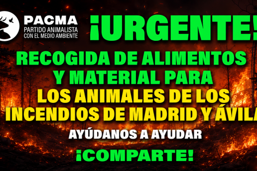 PACMA se suma a la recogida de alimentos y material para los animales afectados por los incendios de Ávila y Madrid