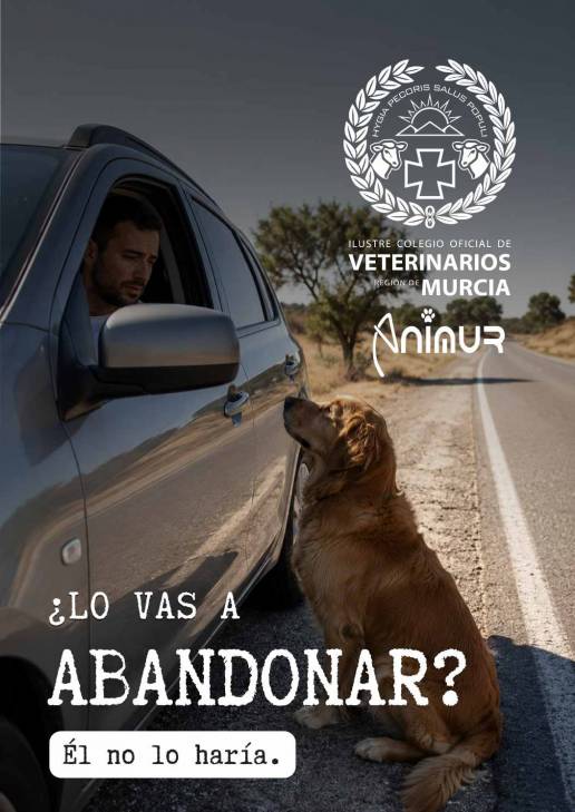 ¿Lo vas a abandonar?