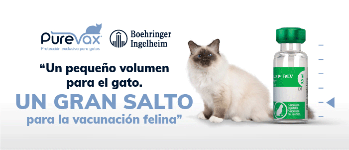 Boehringer, PUREVAX