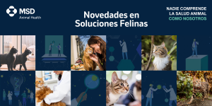 La Comisión Europea autoriza una nueva vacuna combinada de MSD Animal Health para gatos (NOBIVAC® NXT HCPChFeLV)