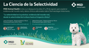 MSD Animal Health impulsará su liderazgo en Dermatología Veterinaria presentando un estudio durante el ECVD 2026
