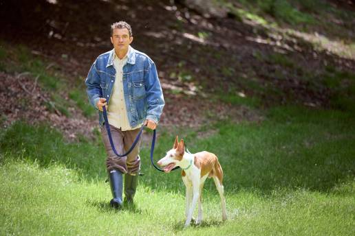 MSD Animal Health y Orlando Bloom visibilizan los riesgos ocultos de pulgas y garrapatas a través de El Riesgo Que No Ves