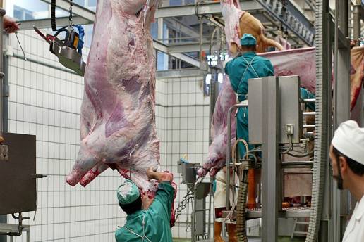 Los veterinarios de Castilla y León proponen a la Consejería de Sanidad mejoras en la formación de los profesionales que ejercen en matader