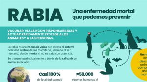 Infografías de las OCV para el Día Mundial Contra la Rabia