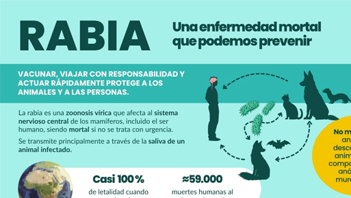 Infografías de las OCV para el Día Mundial Contra la Rabia