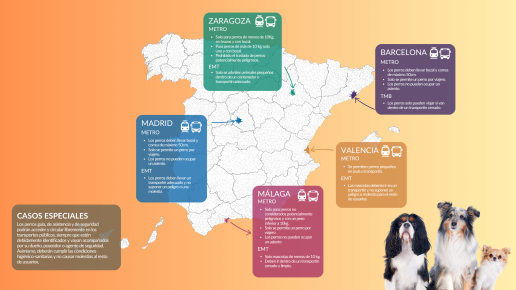 La RSCE pide normas más claras y homogéneas para viajar con perros en el transporte público