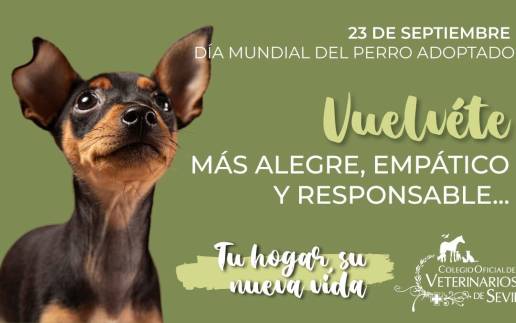 Mundial del Perro Adoptado