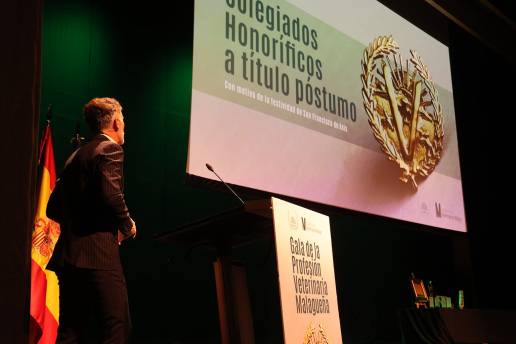 El Colegio de Veterinarios de Málaga rinde un merecido homenaje a los colegiados honoríficos a título póstumo: Emilio Moya Barrionuevo, José Carlos González Fuertes y Andrés J. Flores Alés