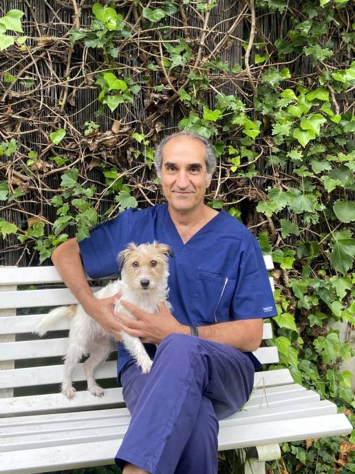 COLVEMA reclama en el ICAM una regulación del medicamento veterinario basada en la evidencia científica y el criterio clínico