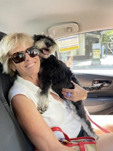 Mercedes Milá, Chenoa, Soraya Arnelas y Jaime Cantizano, entre los premiados de la segunda edición de Celebrity Pets Awards, los galardones que celebran el amor entre personas y animales