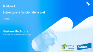 Comienza la primera edición del posgrado "Expertos en Dermatología – GPCert Derm Elanco" impulsado por Elanco, y en colaboración con Improve Veterinary Education