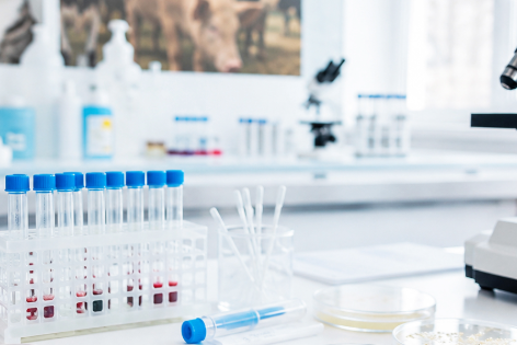 ¿Dónde está el retraso? Un análisis por fases del tiempo de respuesta en un laboratorio veterinario de bioquímica