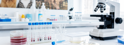 ¿Dónde está el retraso? Un análisis por fases del tiempo de respuesta en un laboratorio veterinario de bioquímica