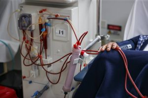 Un riñón de cerdo permite a un paciente dejar la diálisis durante nueve meses hasta recibir un órgano humano