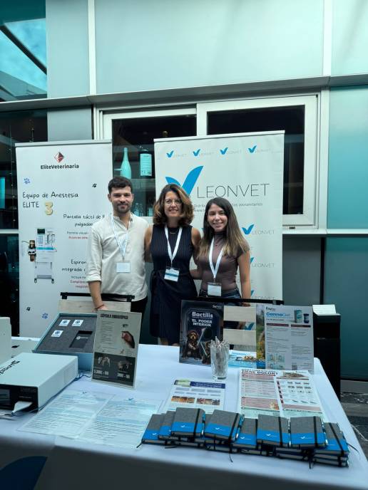 El IV Congreso del Hospital Veterinario Menes reúne en Gijón a más de 100 profesionales en torno a la gastroenterología veterinaria
