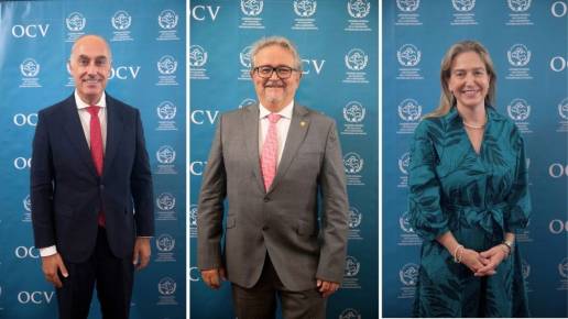 Álvaro Mateos, Fernando Carrera y María Magariños presentan sus candidaturas al cargo de consejero del Consejo General