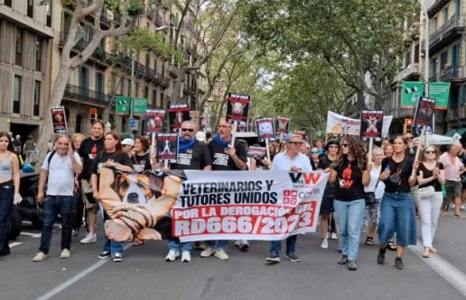 Nueva protesta veterinaria: Madrid, 14 de octubre