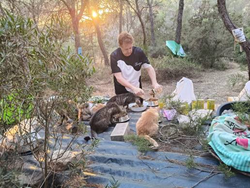 Una «marea naranja» recorre 38 ciudades españolas para exigir la aplicación real de la Ley de Bienestar Animal a los gatos comunitarios