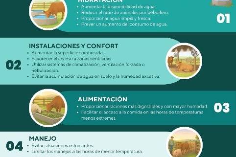 Los veterinarios destacan las medidas básicas de bienestar en animales de producción ante las altas temperaturas