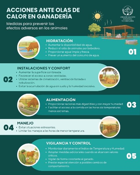 Los veterinarios destacan las medidas básicas de bienestar en animales de producción ante las altas temperaturas