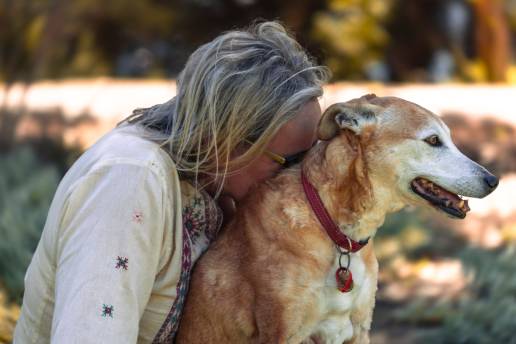 Los perros también cuidan de nuestra salud mental: la ciencia confirma el valor del vínculo humano-animal