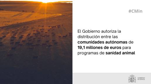El Gobierno autoriza la distribución entre las comunidades autónomas de 19,1 millones de euros para programas de sanidad animal