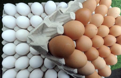 Intoxicación de salmonelosis: cuidado con los huevos pero también con otros alimentos