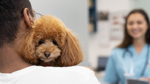 Una de ellas es esta: “¿Convive o tiene usted contacto habitual con animales?” En el 52 % de los hogares españoles la respuesta será afirmativa. Y, además, nueve de cada diez consideran al animal de compañía un miembro de la familia, hecho que significa una convivencia estrecha. Sin embargo, la mayoría de las veces esa información no llega a formar parte de la historia clínica y arrojamos a la ligera un cono de sombra sobre datos muy relevantes; no porque el paciente los oculte, sino porque nadie las solicita.
