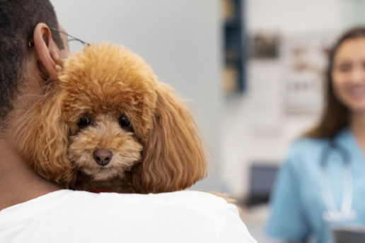 Una de ellas es esta: “¿Convive o tiene usted contacto habitual con animales?” En el 52 % de los hogares españoles la respuesta será afirmativa. Y, además, nueve de cada diez consideran al animal de compañía un miembro de la familia, hecho que significa una convivencia estrecha. Sin embargo, la mayoría de las veces esa información no llega a formar parte de la historia clínica y arrojamos a la ligera un cono de sombra sobre datos muy relevantes; no porque el paciente los oculte, sino porque nadie las solicita.