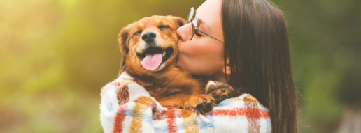 El análisis genómico comparativo de Staphylococcus spp. y Mammaliicoccus sciuri sugiere un posible reparto entre perros y sus dueños