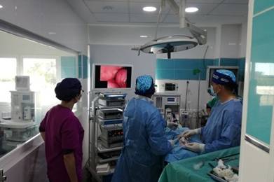 El ICOVV analiza las novedades del nuevo convenio colectivo de clínicas veterinarias