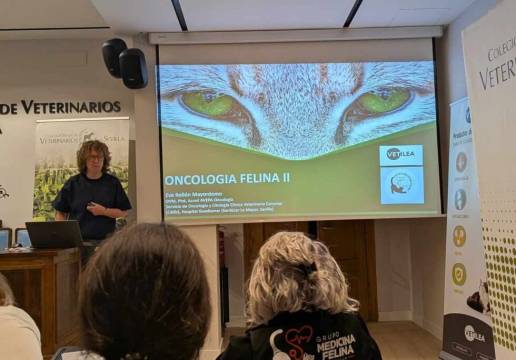 El ICOVS acogió una jornada formativa sobre oncología felina a cargo de Dña. Eva Rollón