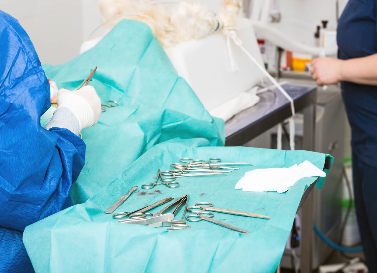 Veterinary surgeon operating a dog