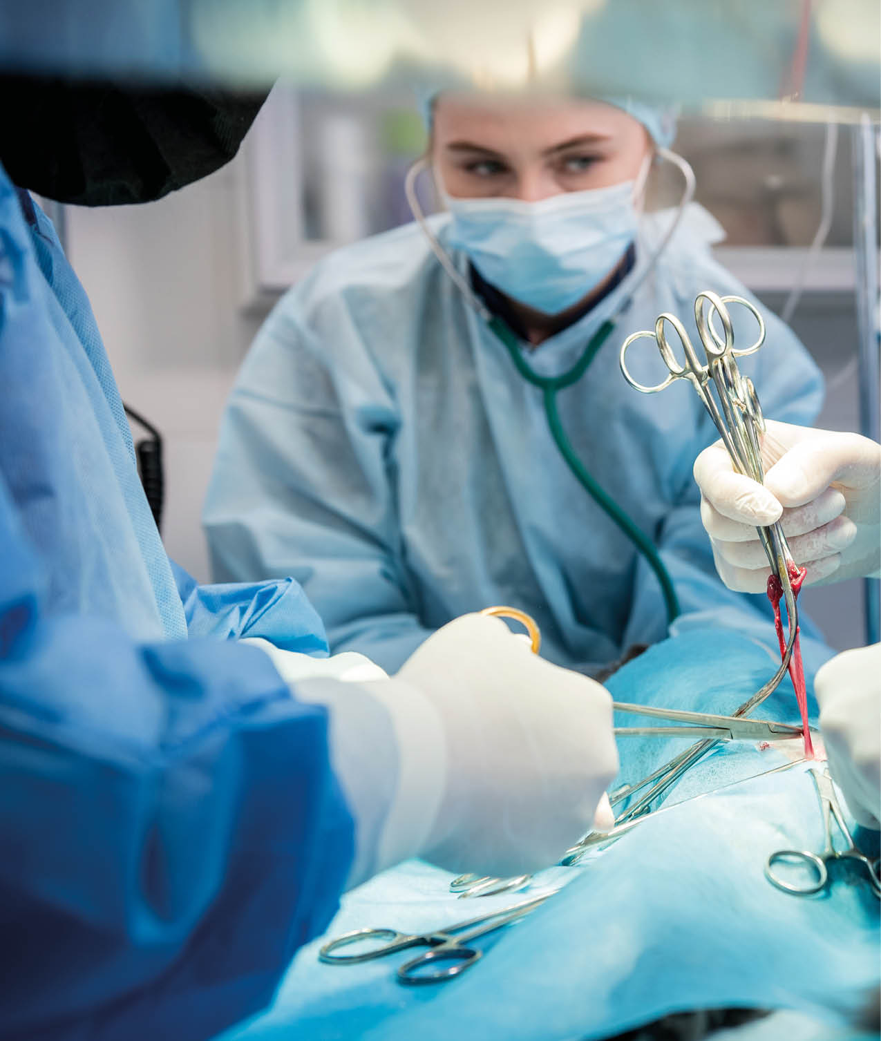 Veterinarian surgeons in operating room doing cat neutering 