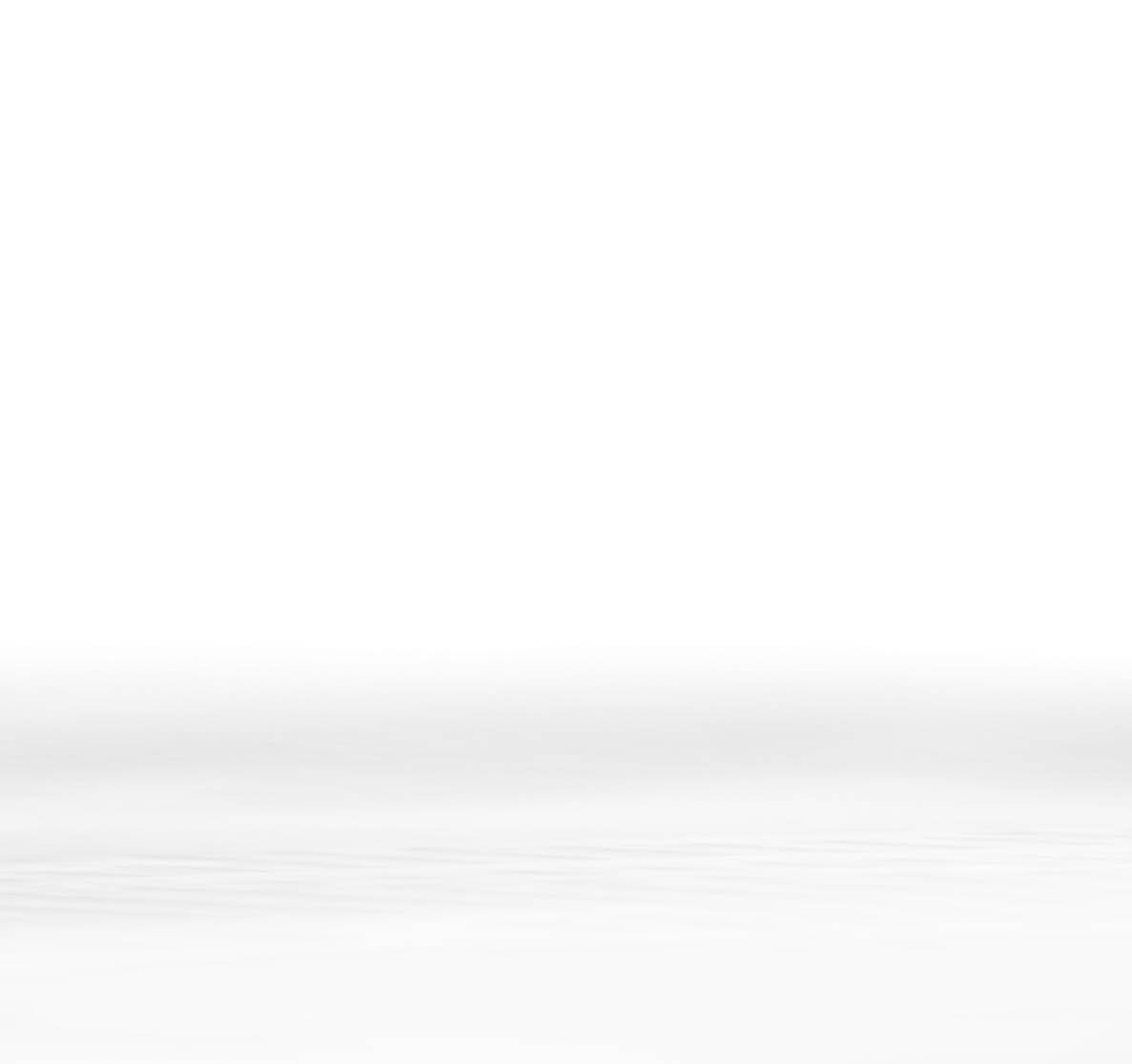 Little cute kitten on white  Delicate, subtle image with space for your text 