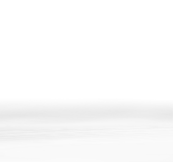 Little cute kitten on white. Delicate, subtle image with space for your text.