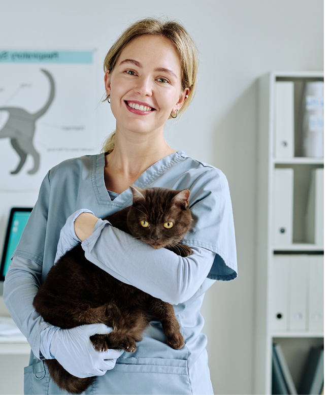 Portrait of young nurse in uniform holding cute cat while working at vet clinic
