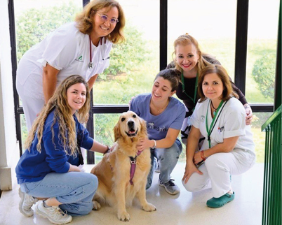 08/01/2025 El Hospital Cl√≠nico inicia un proyecto de acompa√±amiento emocional a trav√©s de terapia asistida con animales SALUD ANDALUC√ A ESPA√ A EUROPA M√ LAGA  JUNTA  