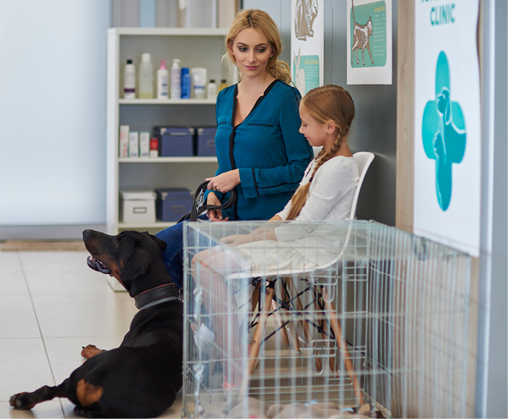 Waiting in the queue at the vet