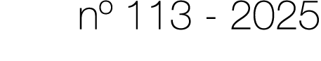 nº 113 2025