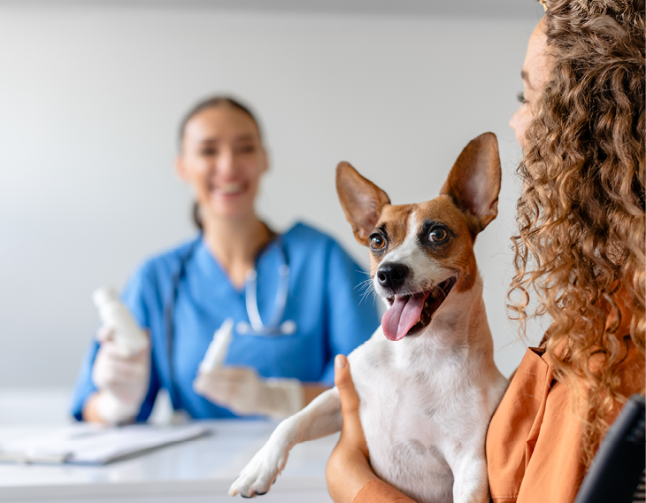 Jack Russell Terrier looks happy being held by its curly-haired owner, enjoying positive experience during veterinary visit with smiling female vet in the background
