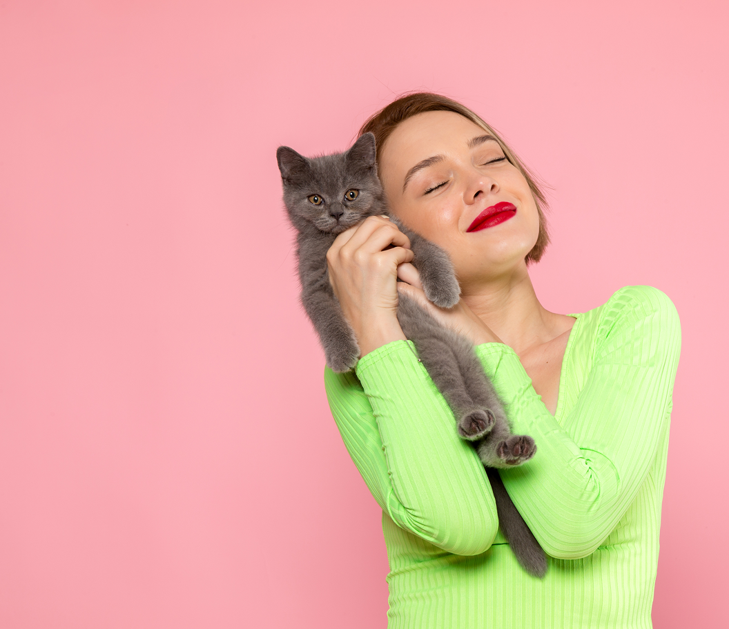 a front view beautiful young woman in green shirt and grey trousers holding cute grey kitten on the pink background beauty female photo color