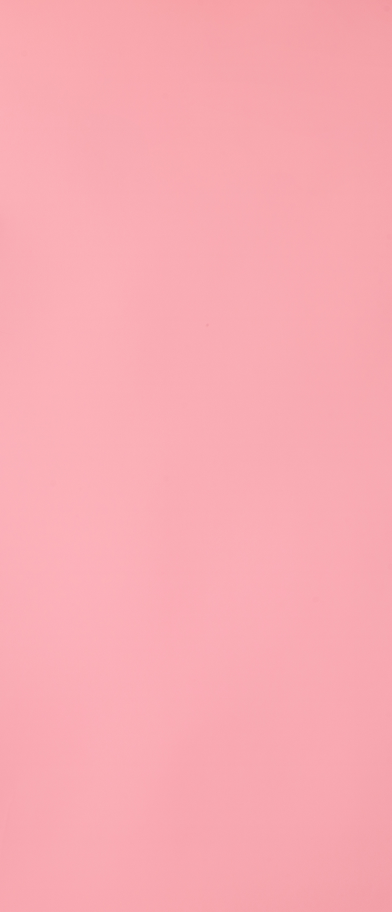 a front view beautiful young woman in green shirt and grey trousers holding cute grey kitten on the pink background beauty female photo color