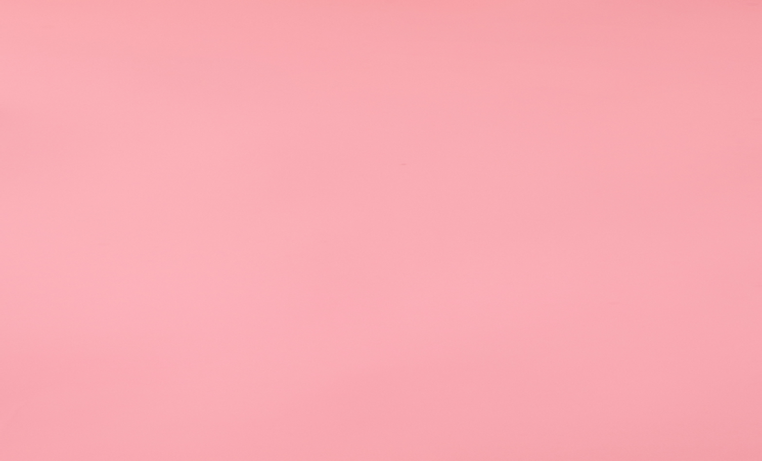 a front view beautiful young woman in green shirt and grey trousers holding cute grey kitten on the pink background beauty female photo color
